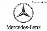 Diagnostyka Mercedes Benz