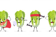 Do obiernia pakowania KAPUSTY PEKIŃSKIEJ