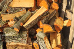 drewno kominkowe olszyna, olcha, brzoza, sosna