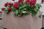 Donica z betonu architektonicznego, drewno beto