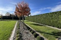 Pielęgnacja ogrodów, usługi miniładowarką