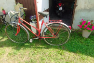 Gazela 1 retro rower