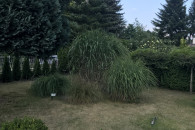 Działka rekreacyjna