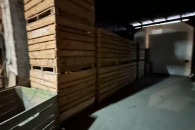 Ziemniaki odpadowe czyste 10 ton