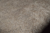 sprzedam owies bingo