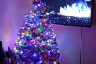 Choinka "ośnieżona" na pniu