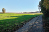 1,67 ha - Kamionka gm. Burzenin