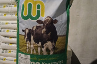 Koncentrat, pasza dla krów mlecznych.