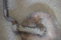 Krój pługa 3 skiby