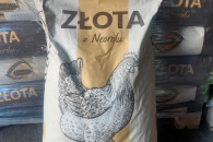 DJ ZŁOTA - mieszanka dla kur niosek