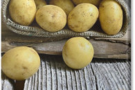 SPRZEDAM ZIEMNIAKI PAKOWANE PO 2,5/5kg !!!