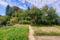 Działka ROD Rozkwit