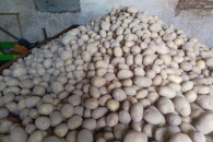 Ziemniaki Riwiera Riviera