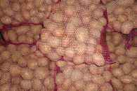 Ziemniaki Vineta Bella Rosa Queen Anna Corina