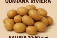 Ziemniak Riviera kal.30-55mm