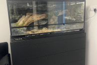 Terrarium z całym wyposażeniem