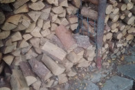 Drzewo sosnowe na opał