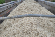 Wysłodki Buraczane luzem