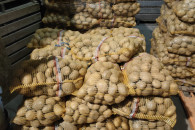 ZIEMNIAKI BELLAROSA, IGNACY I MELODY!!!