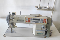 Stebnowka plaska Siruba