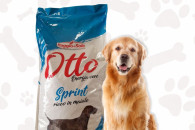 OTTO Sprint z wieprzowiną 20kg sucha karma dla