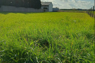 Działka budowlana 1600m2 Sieradz ul.Widawska